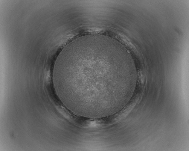 X0000113600564200909181354