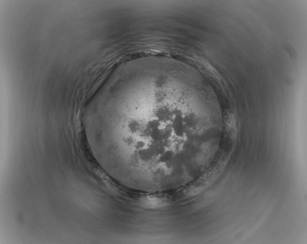 X0000113600565200909181354