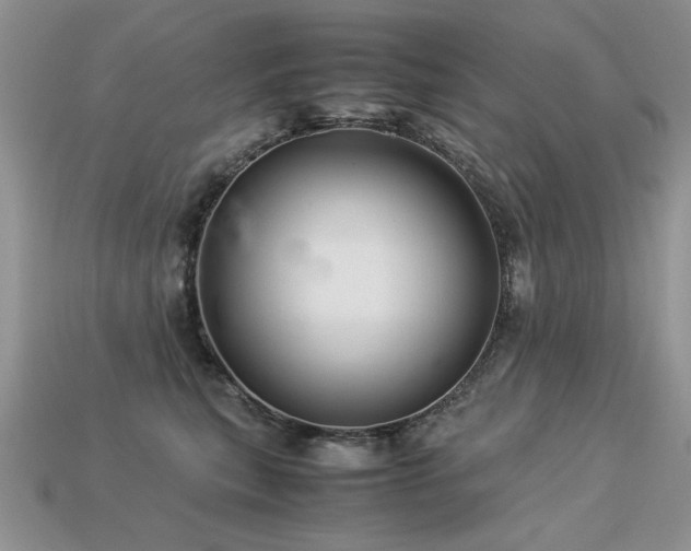 X0000113600567200909181354