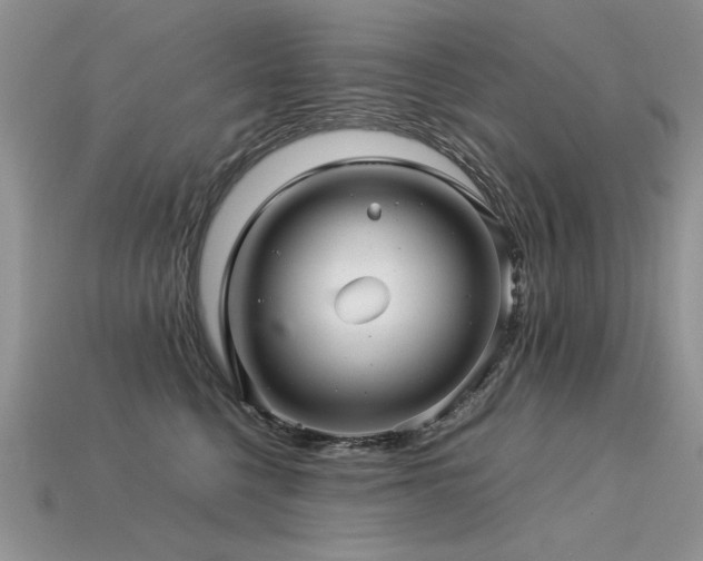 X0000113600568200909181354