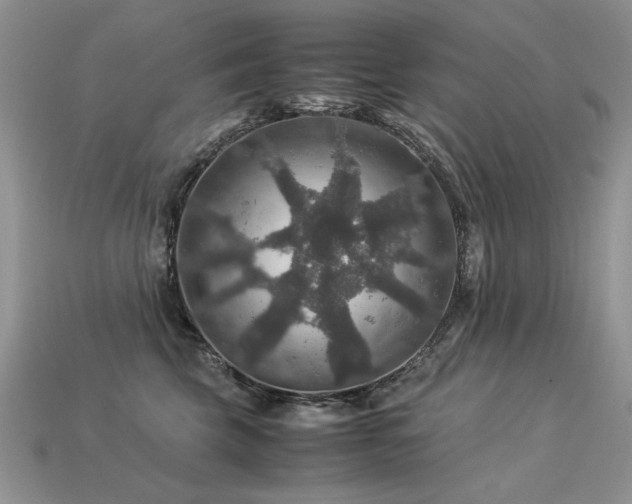 X0000113600569200909181354