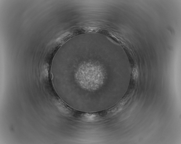 X0000113600570200909181354