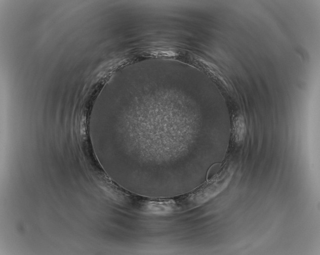 X0000113600571200909181354