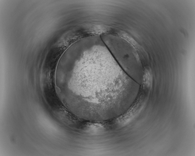 X0000113600572200909181354