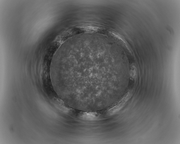 X0000113600573200909181354