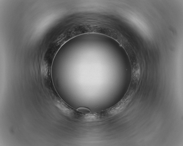 X0000113600574200909181354