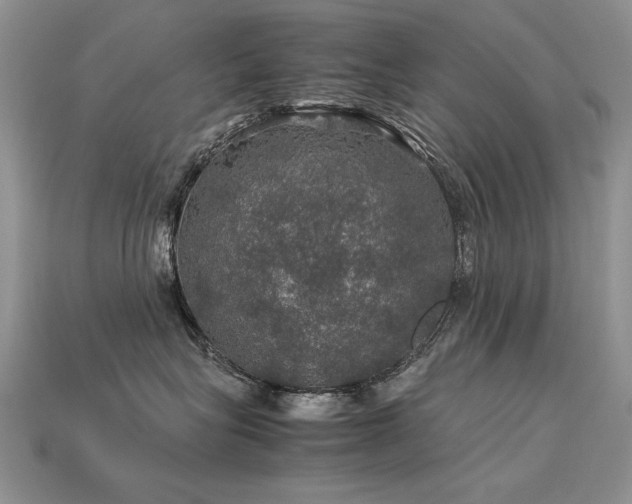 X0000113600575200909181354