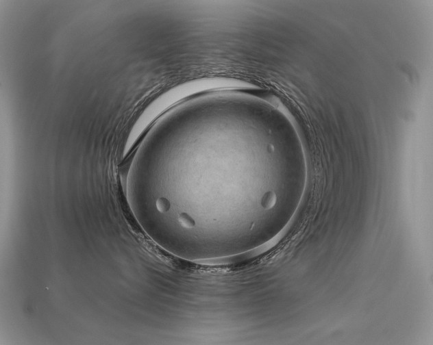 X0000113600576200909181354