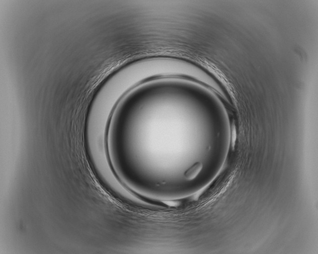 X0000113600577200909181353