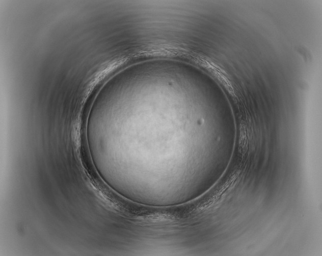 X0000113600578200909181353