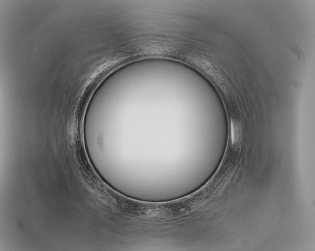 X0000113600579200909181353