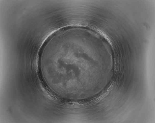 X0000113600580200909181353