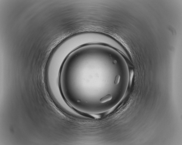 X0000113600581200909181353