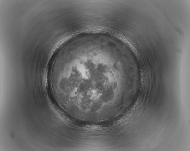 X0000113600582200909181353