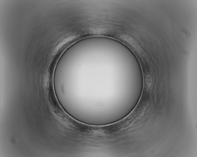 X0000113600583200909181353