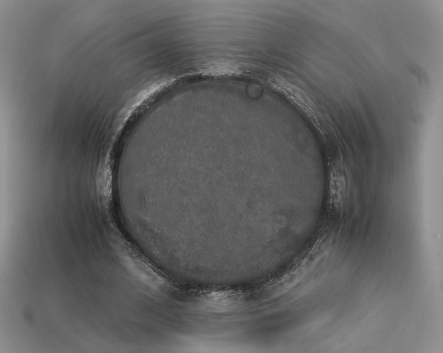 X0000113600584200909181353