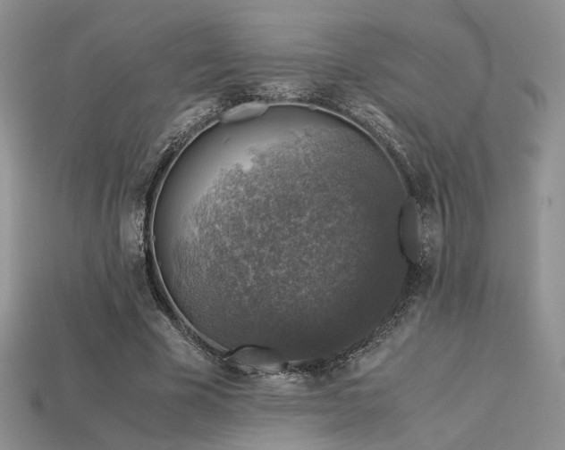 X0000113600585200909181353