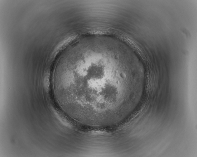 X0000113600586200909181353