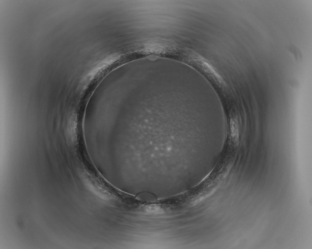 X0000113600588200909181353