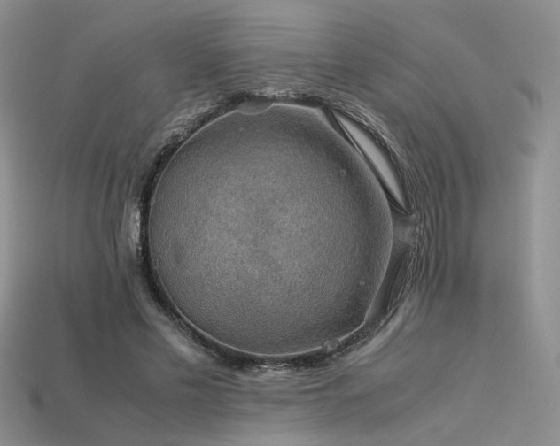 X0000113600589200909181353