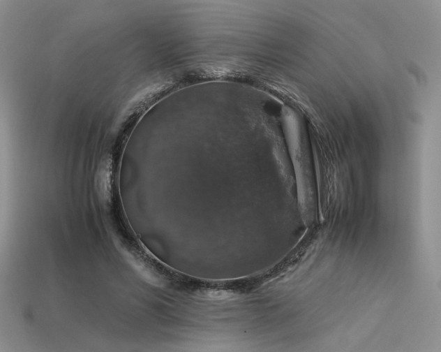 X0000113600590200909181353