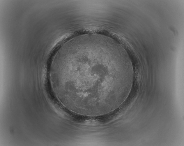 X0000113600591200909181353