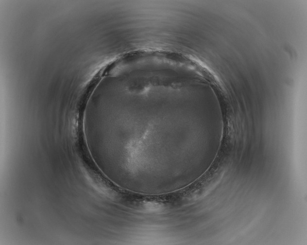 X0000113600592200909181353