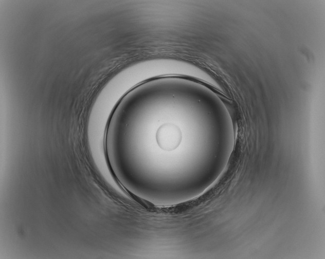 X0000113600593200909181353