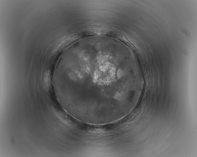 X0000113600594200909181353