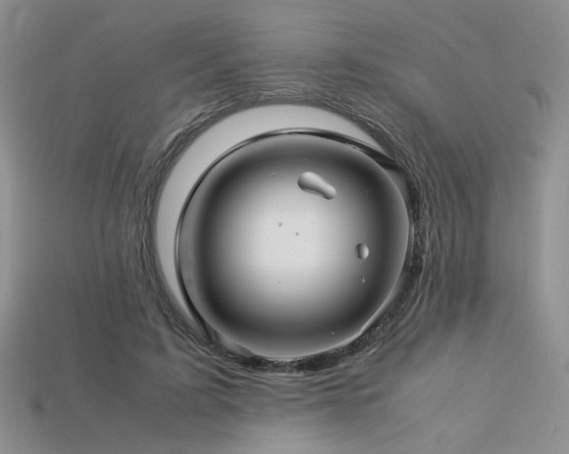 X0000113600595200909181353