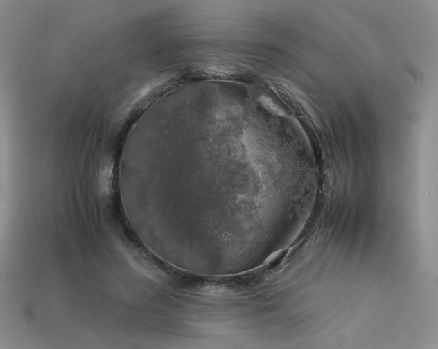 X0000113600596200909181353