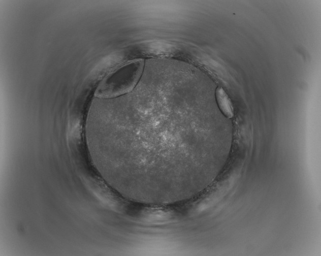 X0000113600597200909181353