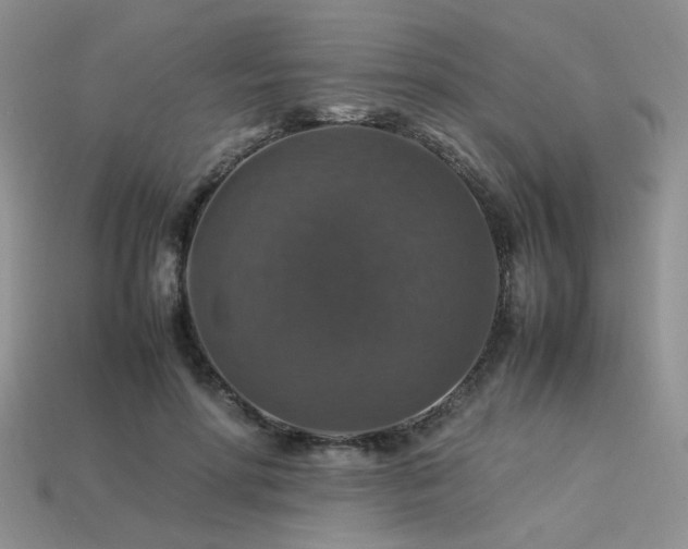 X0000113600598200909181353