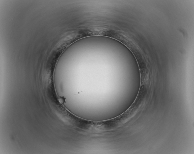 X0000113600599200909181353