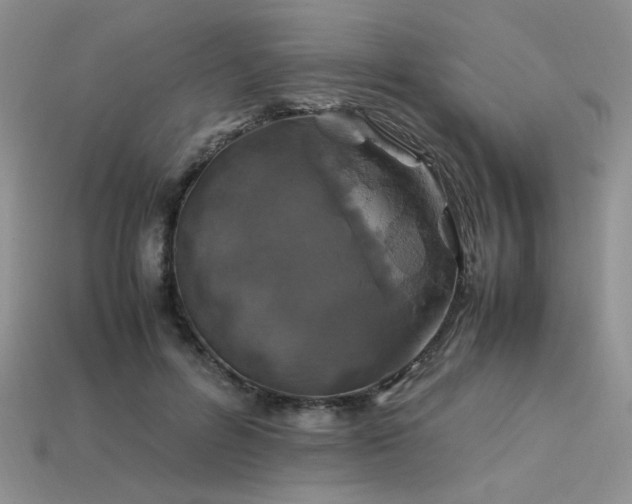 X0000113600600200909181353