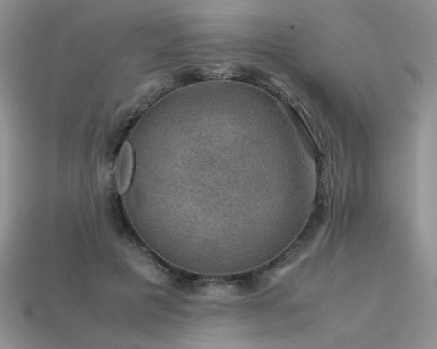 X0000113600601200909181353