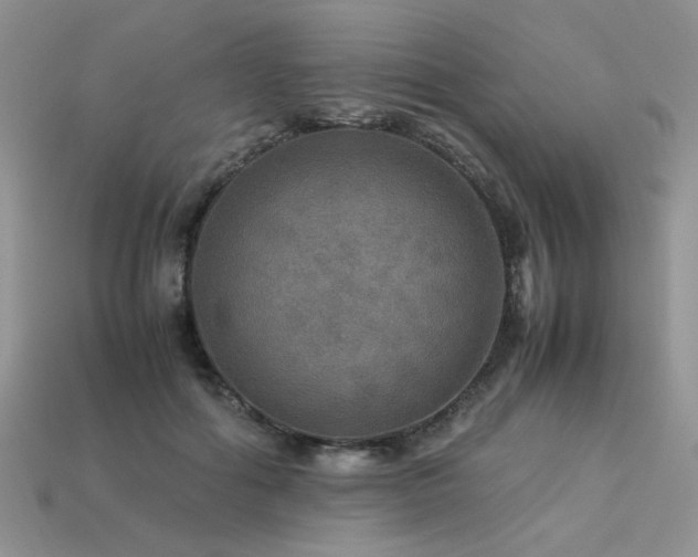 X0000113600602200909181353