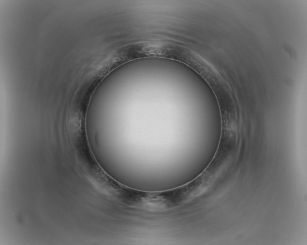 X0000113600603200909181353