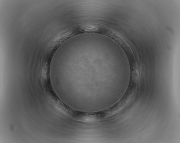 X0000113600604200909181353