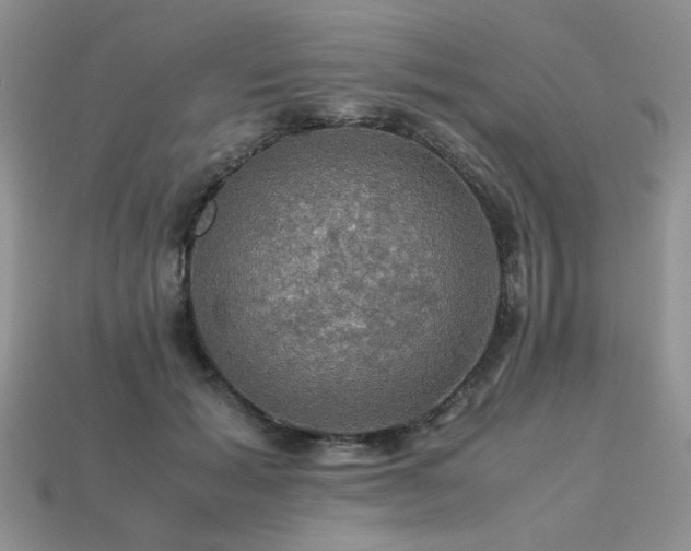 X0000113600605200909181353