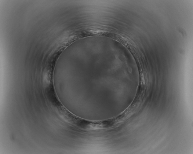 X0000113600606200909181353