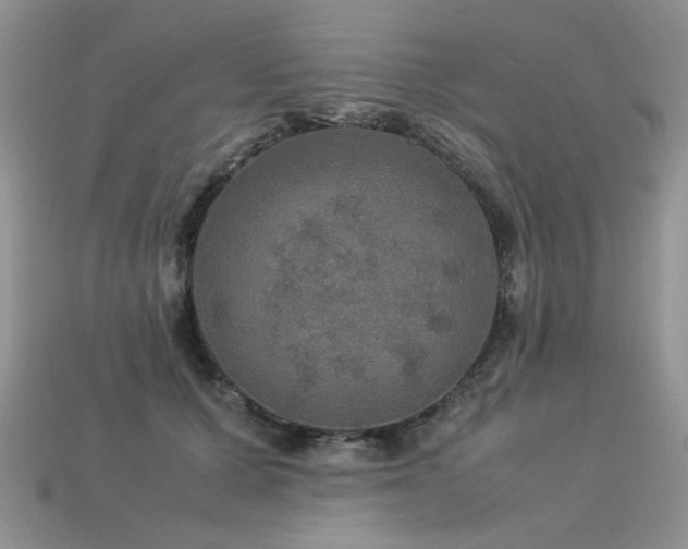 X0000113600607200909181353