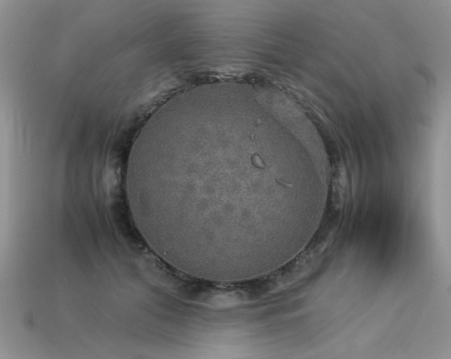 X0000113600608200909181353