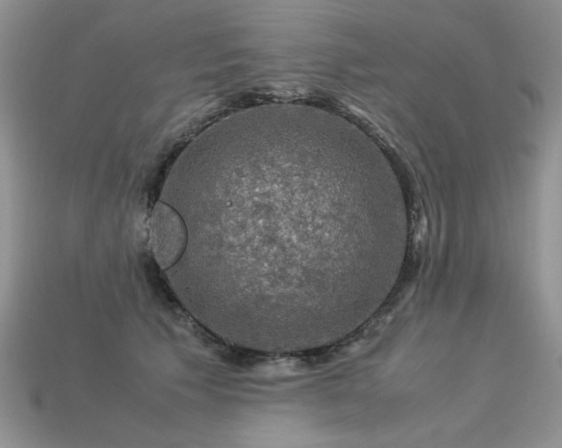 X0000113600609200909181353