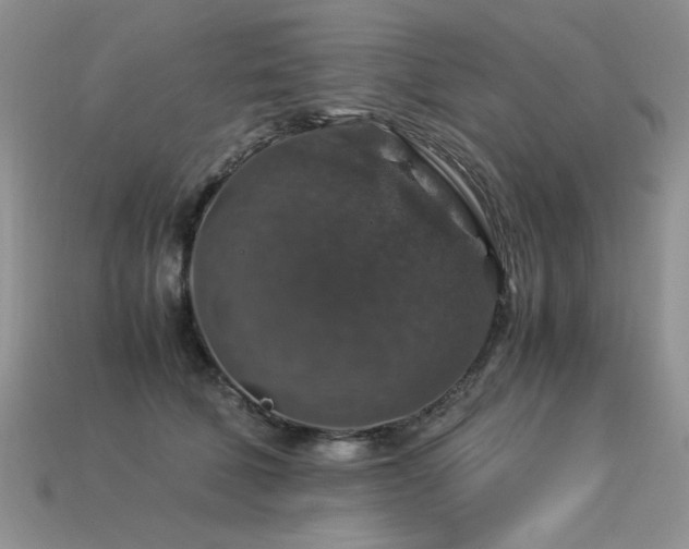 X0000113600610200909181353