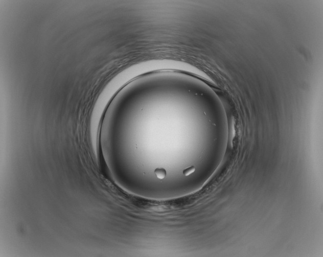 X0000113600611200909181353