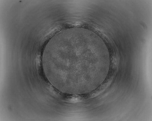 X0000113600612200909181353