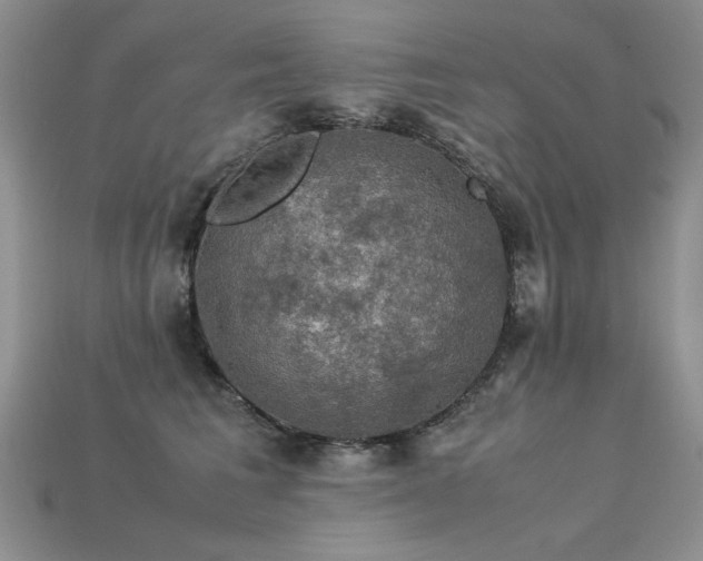 X0000113600613200909181353