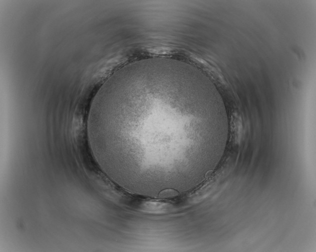 X0000113600614200909181353