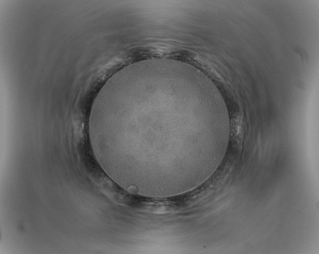 X0000113600615200909181353